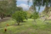 76 Quedjinup Drive, Quedjinup, WA 6281-Image