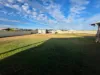 76 Racecourse Road, Miles, Qld 4415-Image