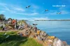 76 Turea Street, Blacksmiths, NSW 2281-Image