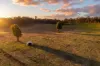 76 Walsh Road (budgee Budgee), Mudgee, NSW 2850-Image
