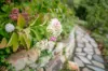 76 Wilpena Terrace, Aldgate, SA 5154-Image