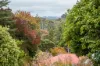 76 Wilpena Terrace, Aldgate, SA 5154-Image