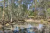 76 Woolnoughs Road, Porcupine Ridge, Vic 3461-Image
