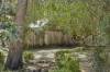 76 Woolnoughs Road, Porcupine Ridge, Vic 3461-Image