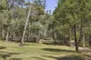 76 Woolnoughs Road, Porcupine Ridge, Vic 3461-Image