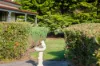 763 Clezy Road, Mingbool, SA 5291-Image