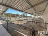 763 Ipswich-Boonah Road, Purga, Qld 4306-Image