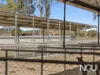 763 Ipswich-Boonah Road, Purga, Qld 4306-Image