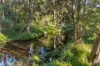 763 Laceys Creek Road, Laceys Creek, Qld 4521-Image