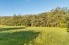 763 Laceys Creek Road, Laceys Creek, Qld 4521-Image