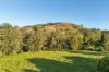 763 Laceys Creek Road, Laceys Creek, Qld 4521-Image