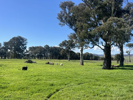 764 Back Creek Road, Gundaroo, NSW 2620