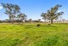 764 Back Creek Road, Gundaroo, NSW 2620-Image