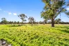 764 Back Creek Road, Gundaroo, NSW 2620-Image