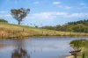764 (Sec 2986) Flaxley Road, Flaxley, SA 5153-Image