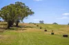 764 (Sec 2986) Flaxley Road, Flaxley, SA 5153-Image