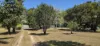 765 Ellerbeck Road, Carruchan, Qld 4816-Image