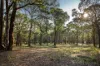 765 Macclesfield Road, Macclesfield, Vic 3782-Image
