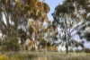 765 Park Street, Brunswick, Vic 3056-Image