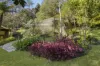 77-79 Akoonah Drive, Beechmont, Qld 4211-Image
