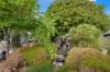 77 Ariadne Street, Maryborough, Qld 4650-Image