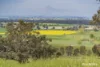 77 Bavin Road, Wagga Wagga, NSW 2650-Image
