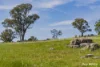 77 Bavin Road, Wagga Wagga, NSW 2650-Image