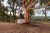 77 Citron Way, Lower Chittering, WA 6084-Image