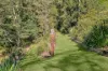 77 Clareville Road, Uki, NSW 2484-Image