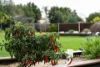 77 Crawley Road, Narre Warren North, Vic 3804-Image