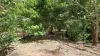 77 Cyrus Road, Berry Springs, NT 0838-Image