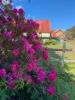 77 Foster Street, Railton, Tas 7305-Image