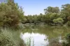 77 High Park Crescent, Little Mountain, Qld 4551-Image