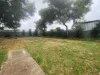 77 International Avenue, Salisbury North, SA 5108-Image