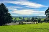 77 Kelliher Road, Neerim South, Vic 3831-Image