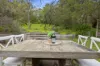 77 Lyons Street, Rye, Vic 3941-Image