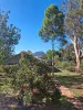 77 Martin Street, Dunkeld, Vic 3294-Image