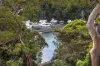 77 Minimbah Road, Northbridge, NSW 2063-Image
