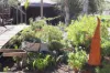 77 Ral Ral Avenue, Renmark, SA 5341-Image