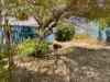 77 Unnaro St, Hillman, WA 6168-Image