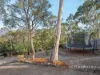 77 Walana Street, Geilston Bay, Tas 7015-Image