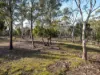 77 Walana Street, Geilston Bay, Tas 7015-Image