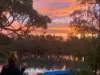 77 Walton Way, Currarong, NSW 2540-Image
