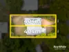 77 Willard Street, Carina Heights QLD 4152-Image