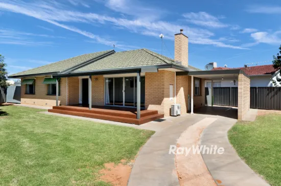 770 Karadoc Avenue, Irymple, Vic 3498