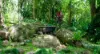 771 Left Bank Road, Mullumbimby Creek, NSW 2482-Image