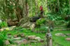 771 Left Bank Road, Mullumbimby Creek, NSW 2482-Image