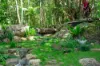 771 Left Bank Road, Mullumbimby Creek, NSW 2482-Image