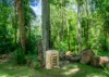 771 Left Bank Road, Mullumbimby Creek, NSW 2482-Image