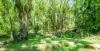 771 Left Bank Road, Mullumbimby Creek, NSW 2482-Image